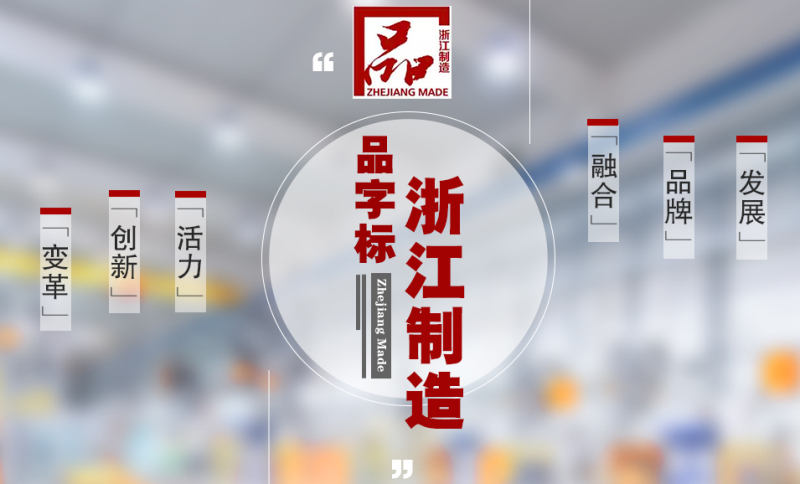 永康市质量发展大会隆重召开，金大门业获“浙江制造”认证(图5)